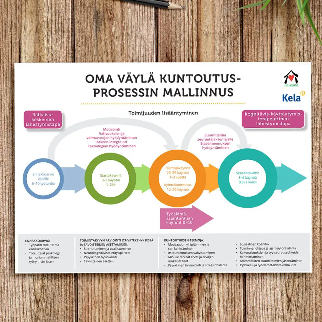 Oma-väylä-kuntoutusprosessin-mallinnus, infografiikka